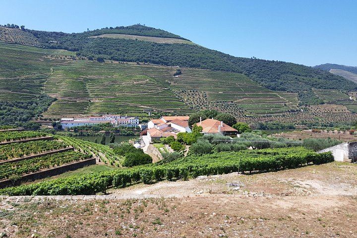 Private Douro Valley Day from Porto: Three Wineries, Family Estates and Big Names (2/12)