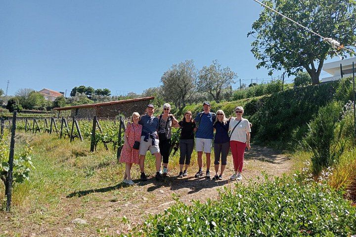 Private Douro Valley Day from Porto: Three Wineries, Family Estates and Big Names (5/12)
