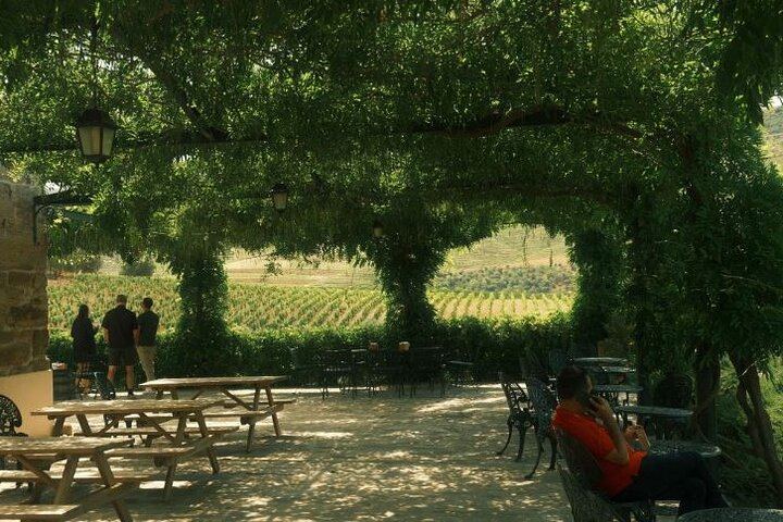 Private Douro Valley Day from Porto with Amarante Green Wine Stop, Family Winery Lunch (3/11)