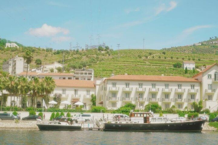 Private Douro Valley Day from Porto with Amarante Green Wine Stop, Family Winery Lunch (9/11)