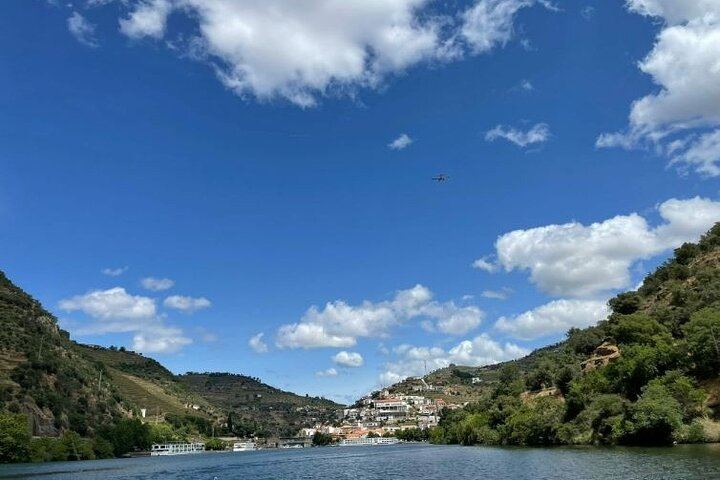 Private Douro Valley Day from Porto with Amarante Green Wine Stop, Family Winery Lunch (6/11)