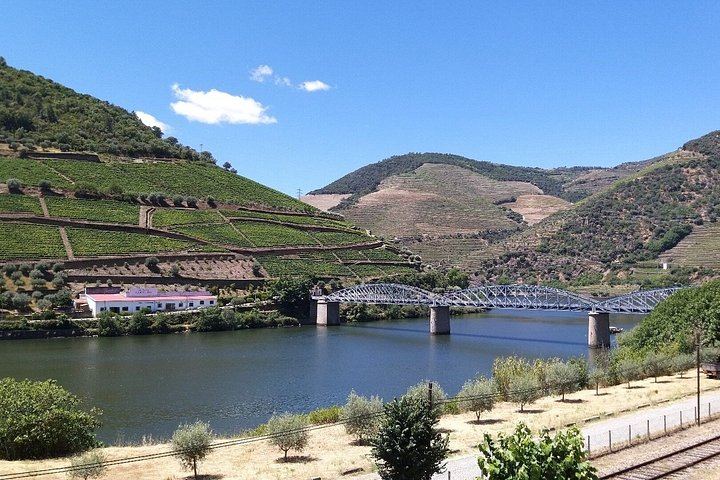 Private Douro Valley Day from Porto: Provesende, Casal de Loivos, Pinhao and N222 (1/12)