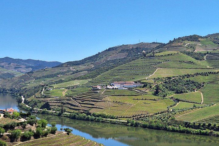 Private Douro Valley Day from Porto: Provesende, Casal de Loivos, Pinhao and N222 (11/12)
