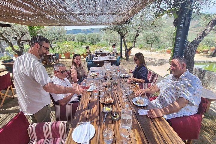 Private Douro Valley Day from Porto: Provesende, Casal de Loivos, Pinhao and N222 (5/12)