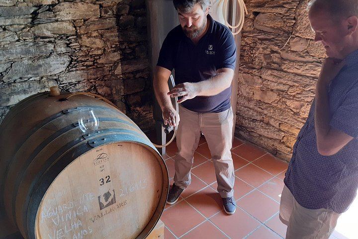 Private Douro Valley Tour with Certified Sommelier Guide, Winery Lunch and Port Tastings (8/12)