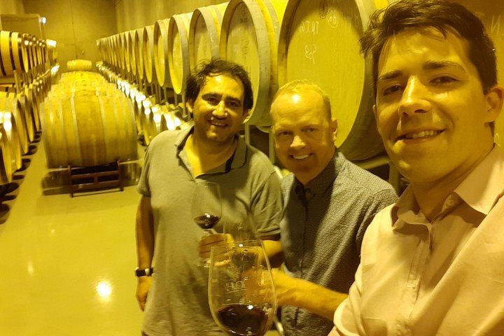 Private Douro Valley Tour with Certified Sommelier Guide, Winery Lunch and Port Tastings (12/12)