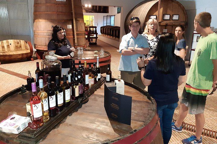 Private Douro Valley Tour with Certified Sommelier Guide, Winery Lunch and Port Tastings (4/12)