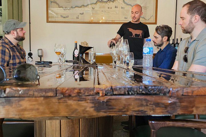 Private Douro Valley Tour with Certified Sommelier Guide, Winery Lunch and Port Tastings (9/12)