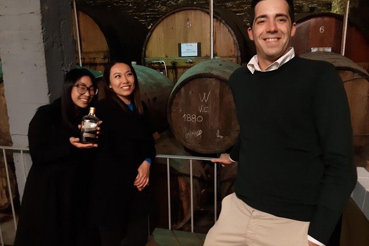 Private Douro Valley Tour with Certified Sommelier Guide, Winery Lunch and Port Tastings (10/12)