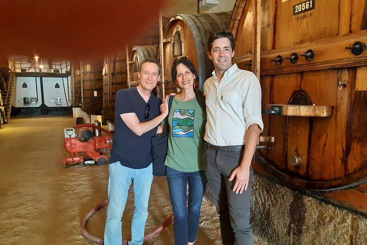Private Douro Valley Tour with Certified Sommelier Guide, Winery Lunch and Port Tastings (2/12)