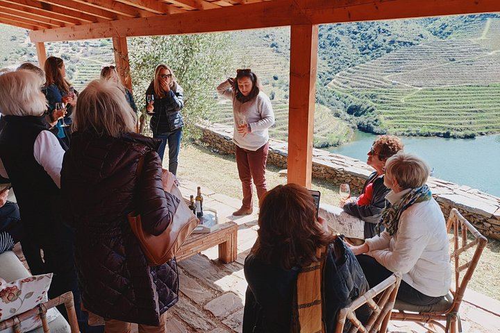 Private Douro Valley Tour with Certified Sommelier Guide, Winery Lunch and Port Tastings (3/12)