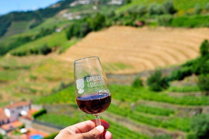 Private Off-the-Beaten-Path Douro Valley Wine Tour from Porto, Winery Lunch Stop (1/12)