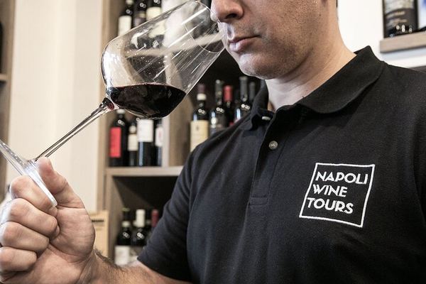 Private Evening Campania Felix Wine and Food Pairing with a Sommelier in Naples