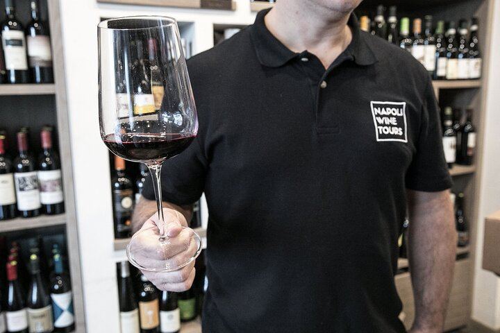 Private Evening Campania Felix Wine and Food Pairing with a Sommelier in Naples (8/12)