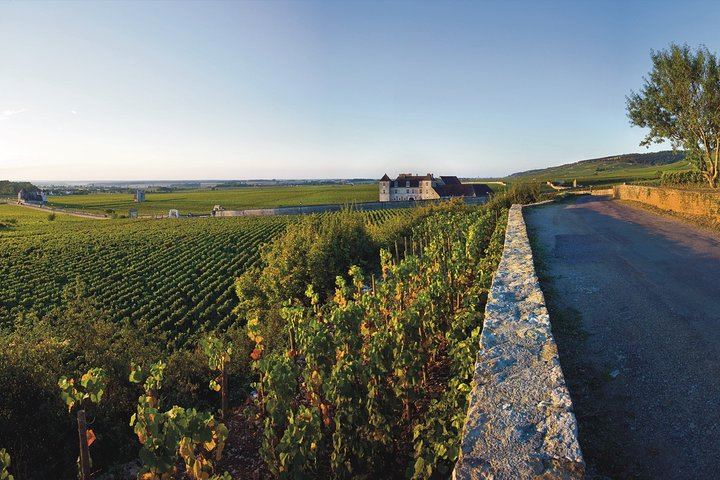 Private Full-Day Côte de Beaune and Côte de Nuits Wine Tour with Two Estate Tastings (7/7)