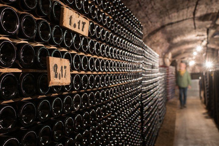 Private Full-Day Côte de Beaune and Côte de Nuits Wine Tour with Two Estate Tastings (5/7)