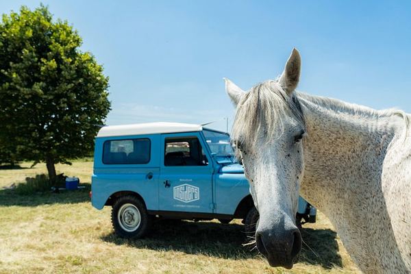 Private Southern Burgundy Wine Day in a Vintage Land Rover from Lyon