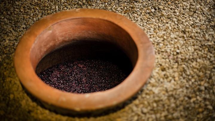 Private Franschhoek and Paarl Wine Day with Pickup: Stony Brook, Anthonij Rupert, Avondale (4/8)