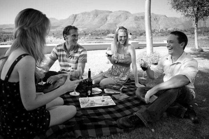 Private Franschhoek and Paarl Wine Day with Pickup: Stony Brook, Anthonij Rupert, Avondale (7/8)
