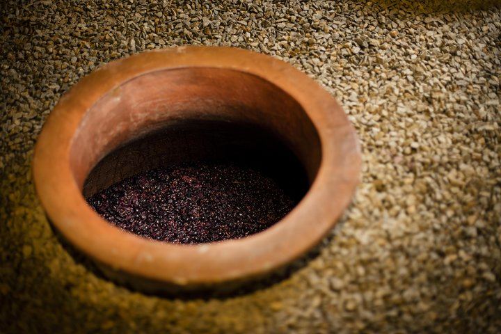 Private Franschhoek and Paarl Wine Day with Pickup: Stony Brook, Anthonij Rupert, Avondale (4/8)