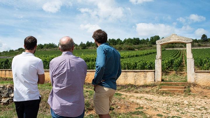 Private Full-Day Burgundy Food and Wine Tour: Markets, Regional Lunch and Clos de Vougeot (2/8)