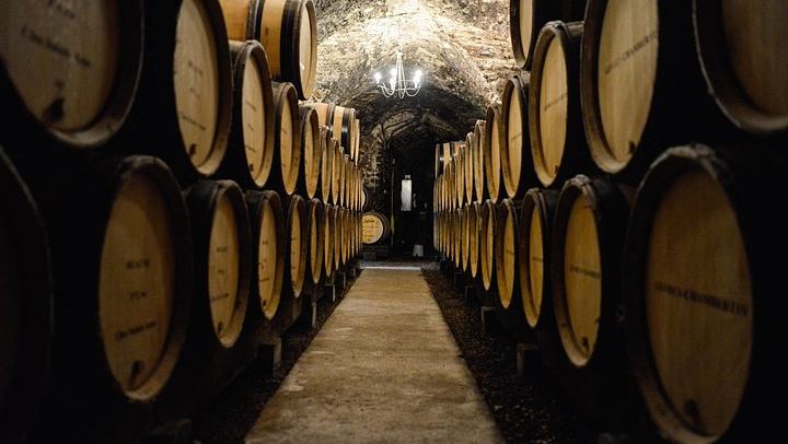 Private Full-Day Burgundy Food and Wine Tour: Markets, Regional Lunch and Clos de Vougeot (3/8)