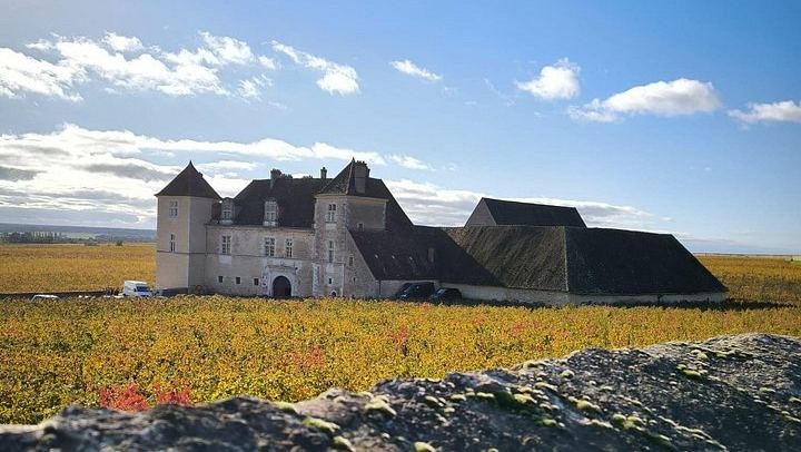 Private Full-Day Burgundy Food and Wine Tour: Markets, Regional Lunch and Clos de Vougeot (4/8)
