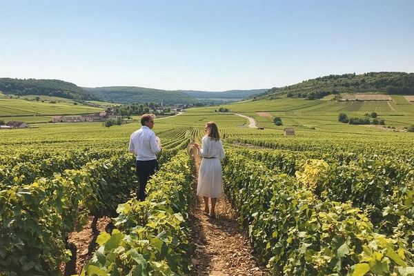 Private Full-Day Burgundy Food and Wine Tour: Markets, Regional Lunch and Clos de Vougeot
