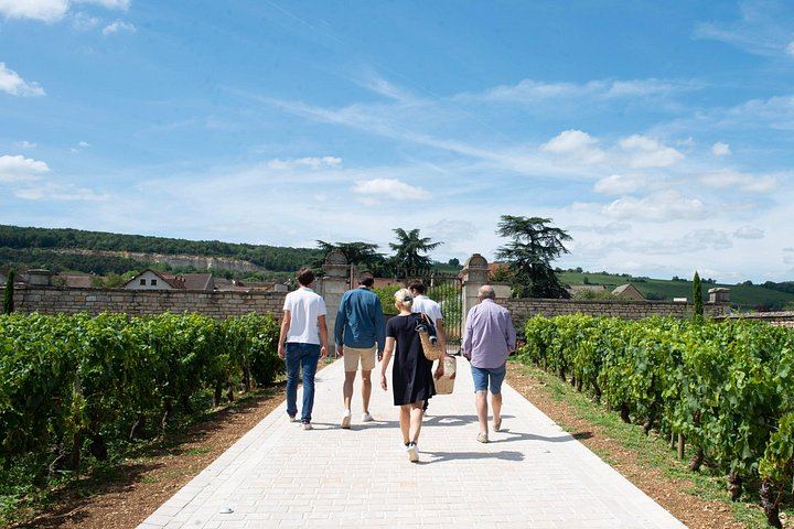Private Full-Day Burgundy Food and Wine Tour: Markets, Regional Lunch and Clos de Vougeot (7/8)