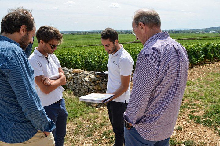 Private Full-Day Burgundy Food and Wine Tour: Markets, Regional Lunch and Clos de Vougeot (5/8)