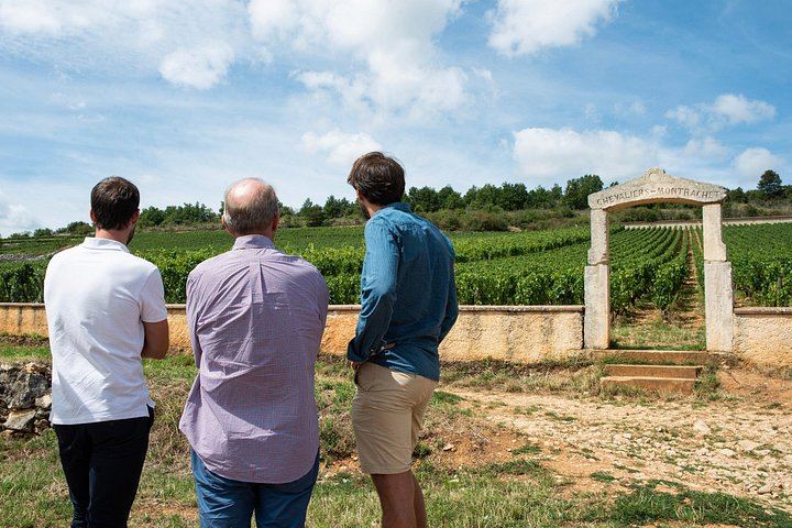 Private Full-Day Burgundy Food and Wine Tour: Markets, Regional Lunch and Clos de Vougeot (2/8)