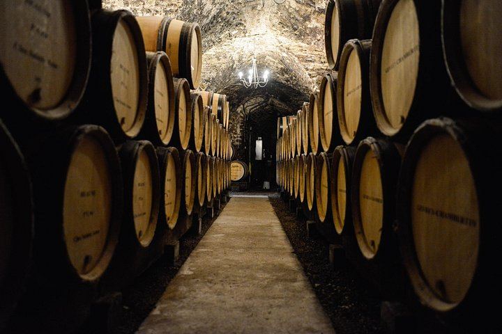 Private Full-Day Burgundy Food and Wine Tour: Markets, Regional Lunch and Clos de Vougeot (3/8)