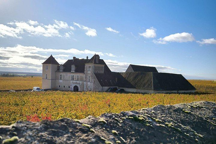 Private Full-Day Burgundy Food and Wine Tour: Markets, Regional Lunch and Clos de Vougeot (4/8)