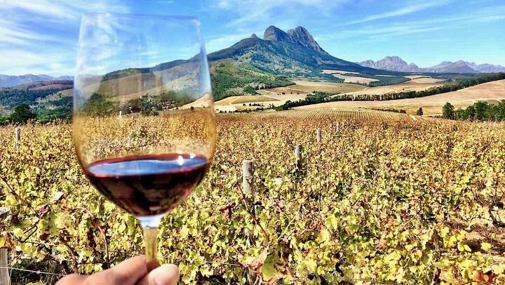 Private Full-Day Stellenbosch Wine Tour from Cape Town with Cellar Visit and Cheese (3/9)