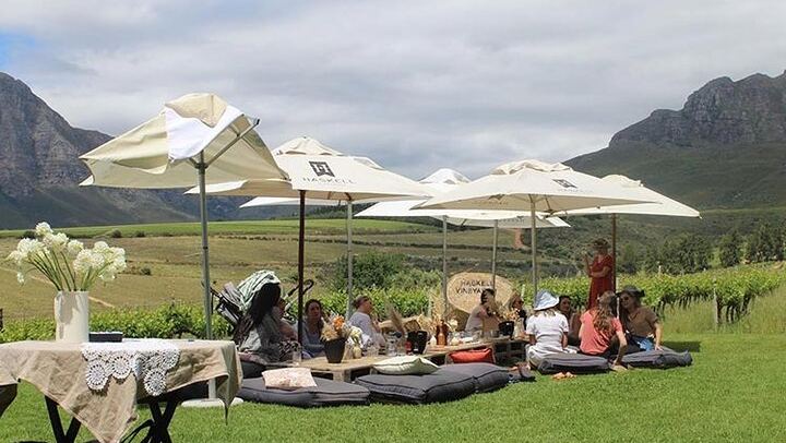 Private Full-Day Stellenbosch Wine Tour from Cape Town with Cellar Visit and Cheese (4/9)