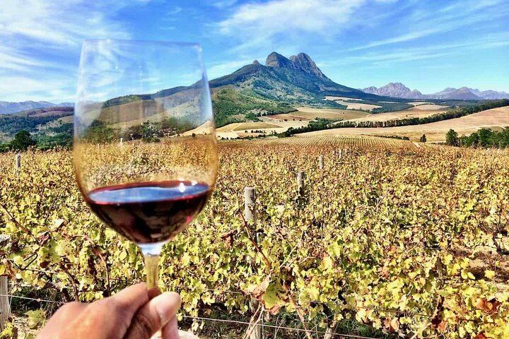 Private Full-Day Stellenbosch Wine Tour from Cape Town with Cellar Visit and Cheese (3/9)