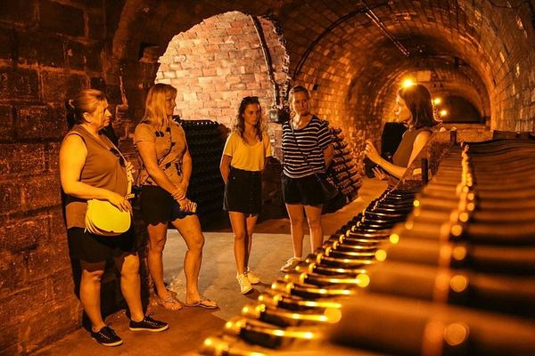 Private Full-Day Champagne Tour from Reims with 3 Growers, Bistronomic Lunch and Minivan