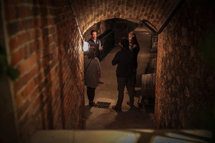 Private Full-Day Champagne Tour from Reims with 3 Growers, Bistronomic Lunch and Minivan (6/8)