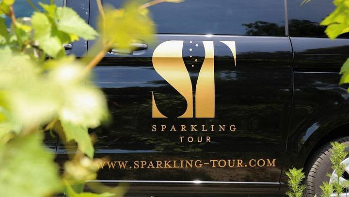 Private Full-Day Champagne Tour from Reims with 3 Growers, Bistronomic Lunch and Minivan (1/8)