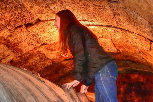 Private Full-Day Rioja Wine Tour: Old Winery, Oak Barrels and Tasting in the Vines