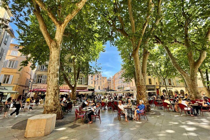 Marseille Cruise Port Private Provence Wine Shore Excursion with Cassis, Aix or Lourmarin (8/9)