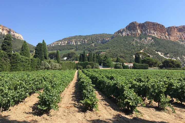 Marseille Cruise Port Private Provence Wine Shore Excursion with Cassis, Aix or Lourmarin (6/9)