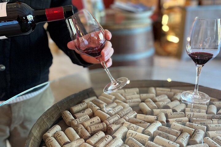 Marseille Cruise Port Private Provence Wine Shore Excursion with Cassis, Aix or Lourmarin (3/9)