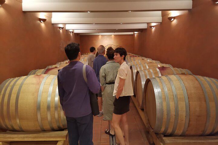 Marseille Cruise Port Private Provence Wine Shore Excursion with Cassis, Aix or Lourmarin (5/9)