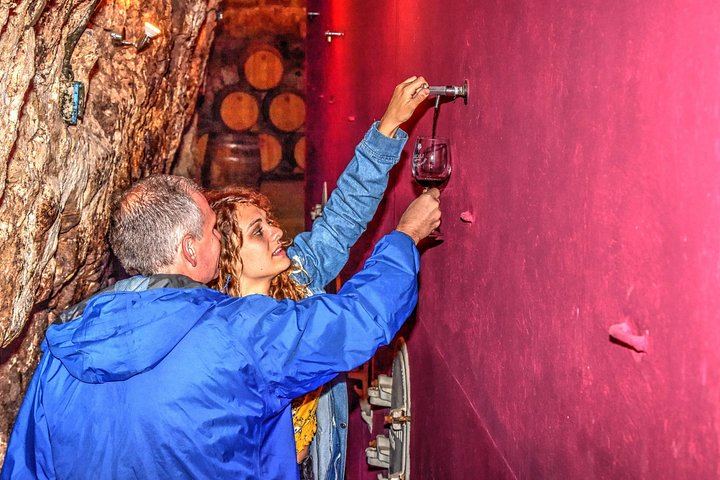 Private Full-Day Rioja Wine Tour: Old Winery, Oak Barrels and Tasting in the Vines (2/5)