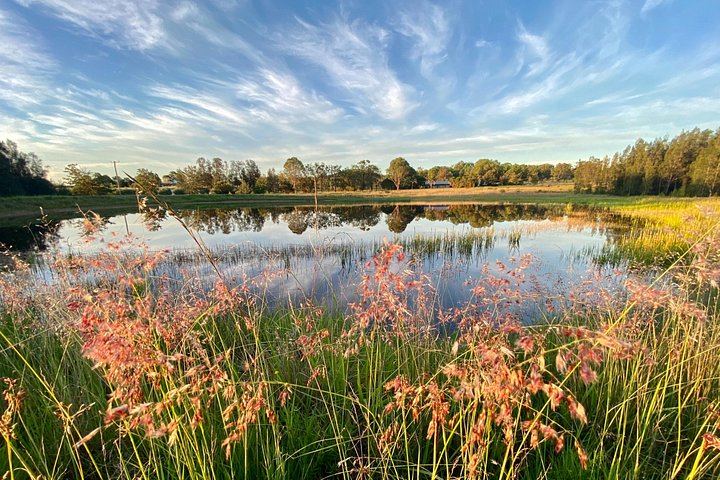 Private Full-Day Hunter Valley Wine Tour for Up to 4 Guests with Local Guide Clive (6/6)