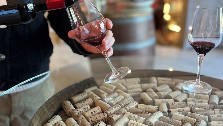 Marseille Cruise Port Private Provence Wine Shore Excursion with Cassis, Aix or Lourmarin (3/9)