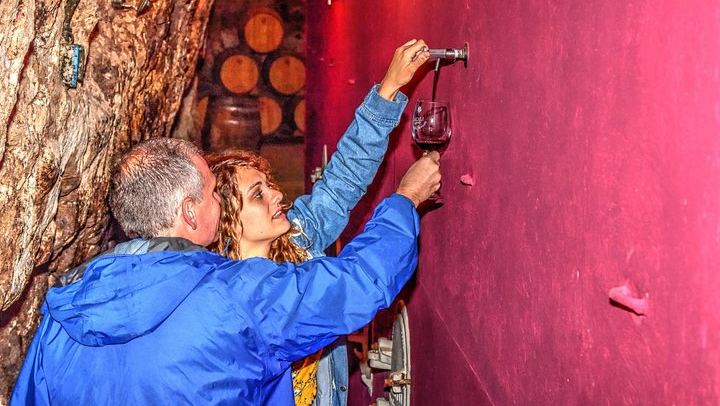 Private Full-Day Rioja Wine Tour: Old Winery, Oak Barrels and Tasting in the Vines (2/5)