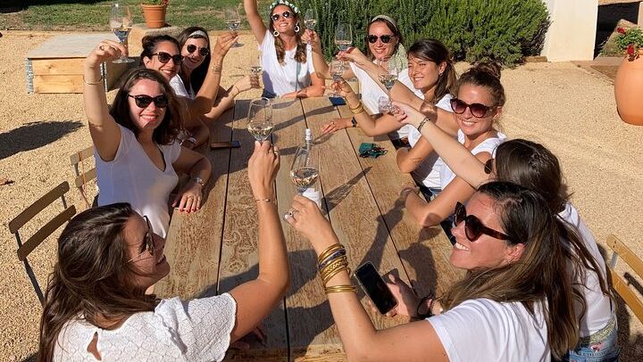 Marseille Cruise Port Private Provence Wine Shore Excursion with Cassis, Aix or Lourmarin (2/9)