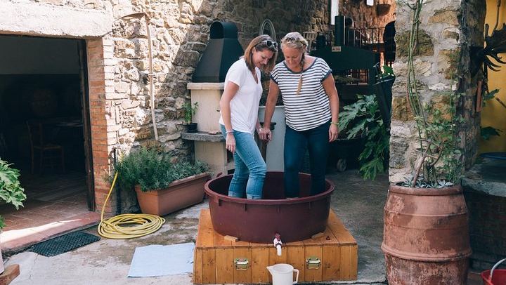 Private Grape Stomping on a Chianti Family Farm with Lunch and Florence Hotel Transfer (1/12)